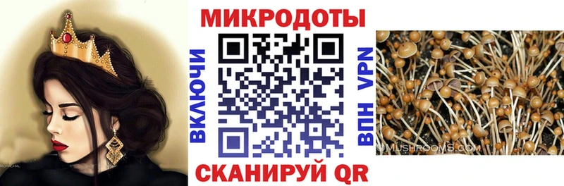 Галлюциногенные грибы мицелий  дарнет шоп  Называевск 